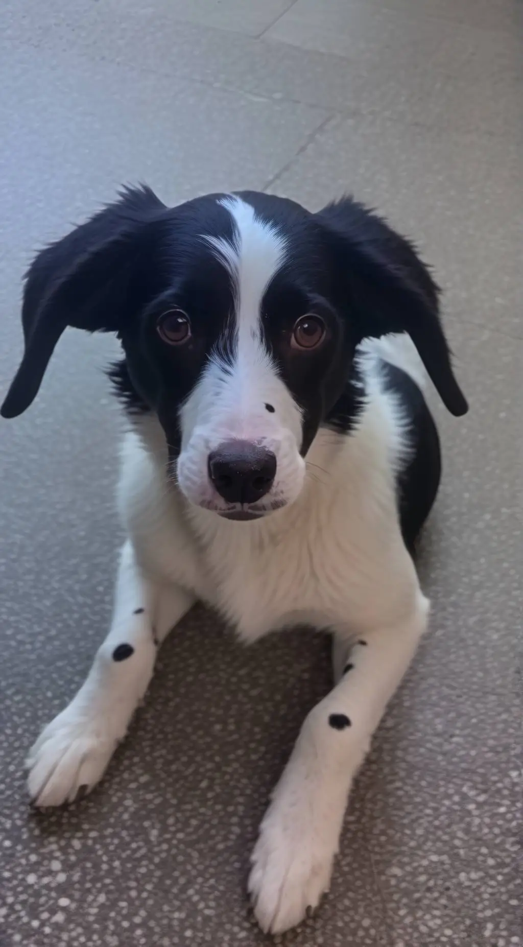 ai character: Aiden background