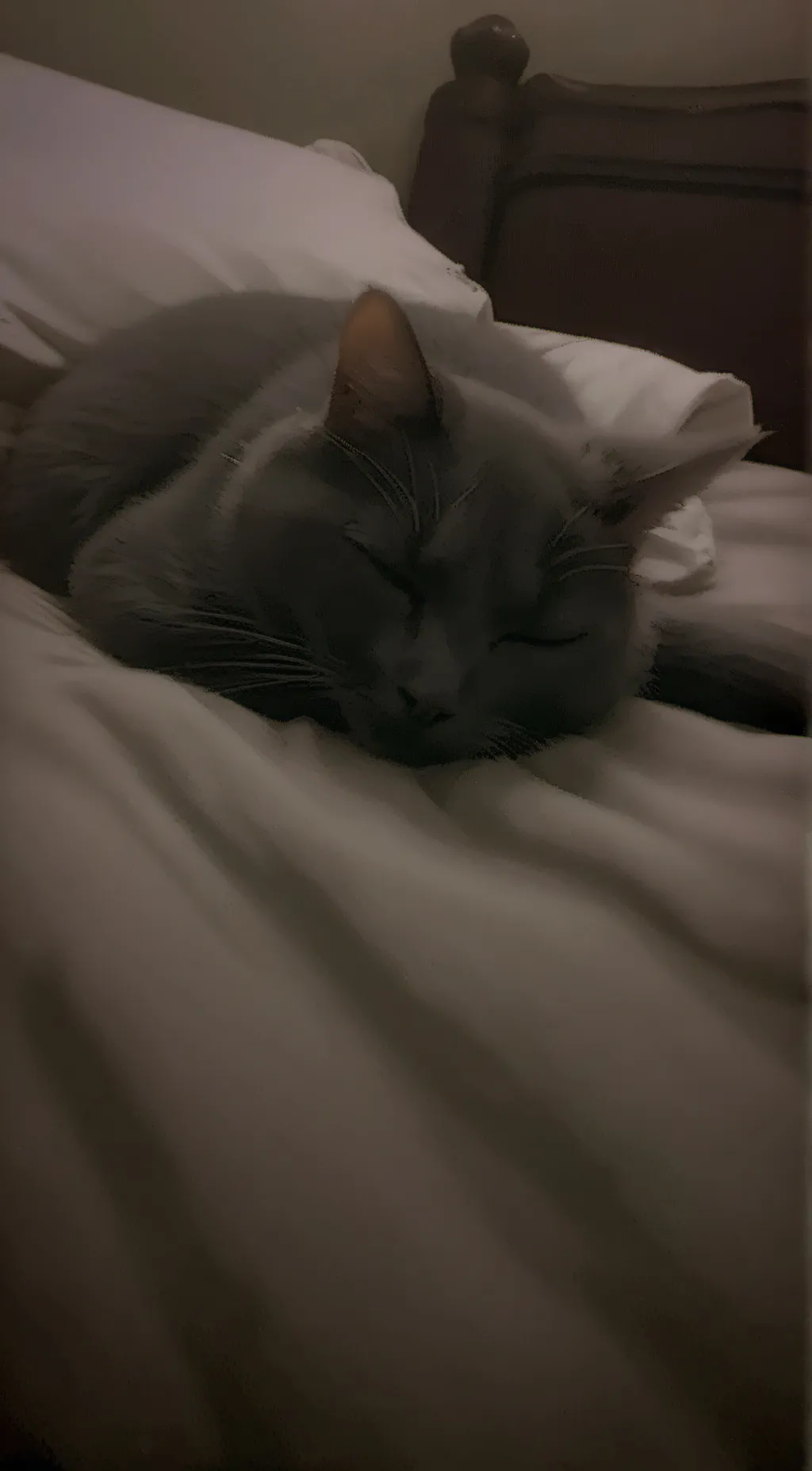 ai character: Max background