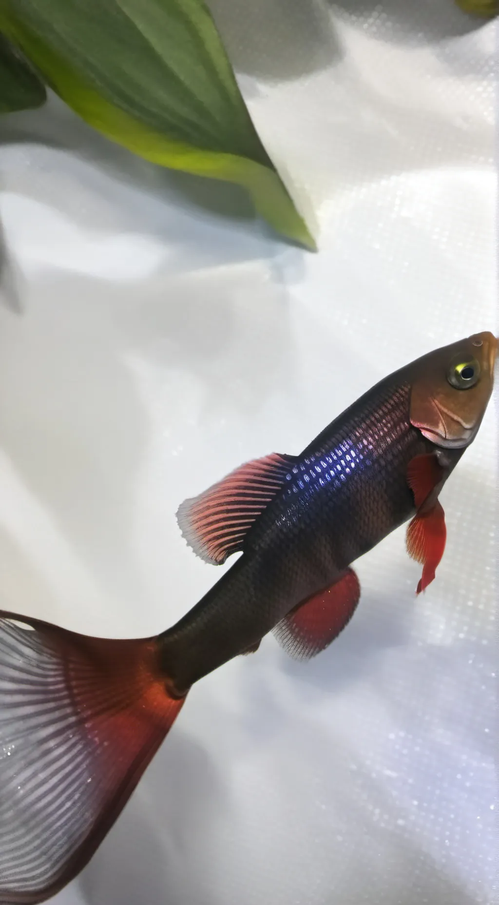 ai character: Devil background