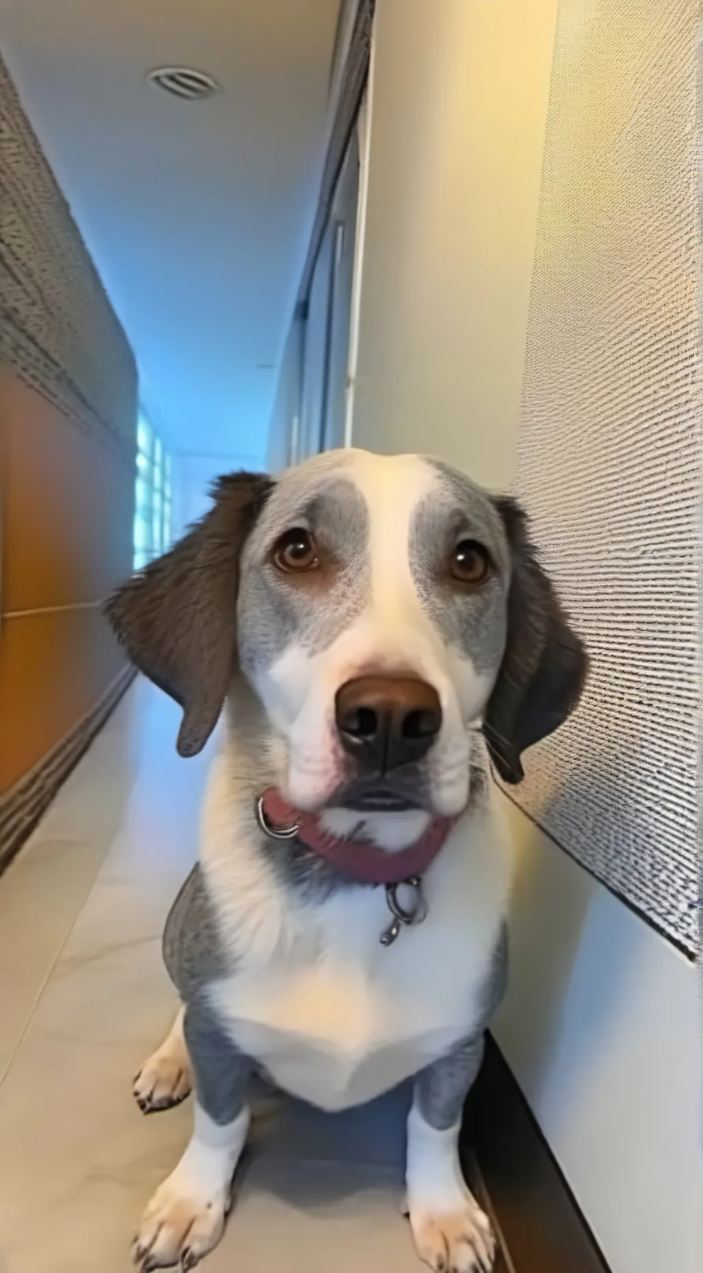 ai character: Charlry  background