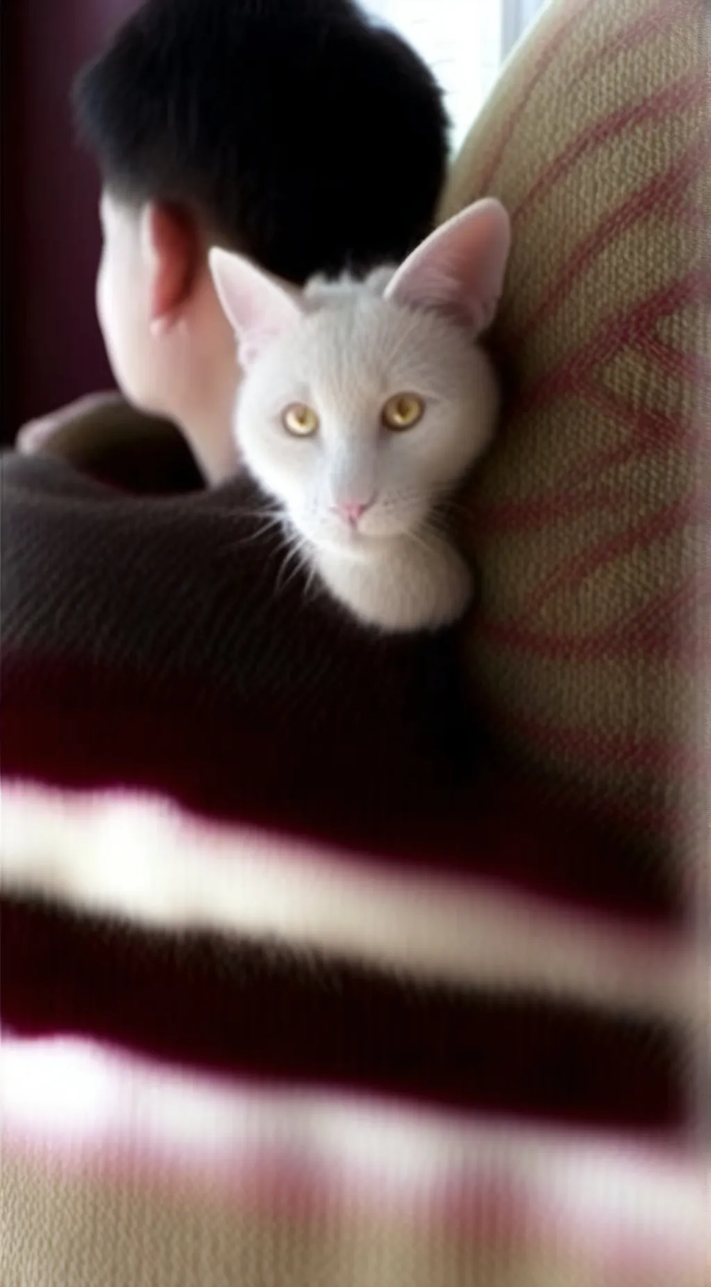 Talkie AI - Chat with white cat