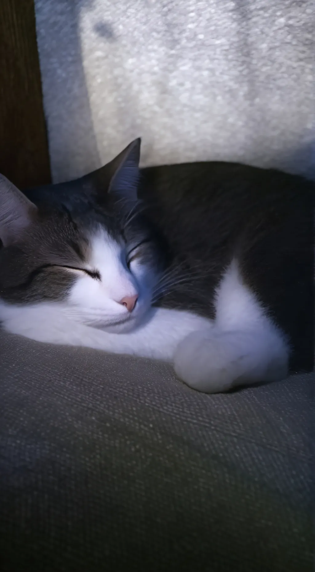 Talkie AI - Chat with Grey Goose