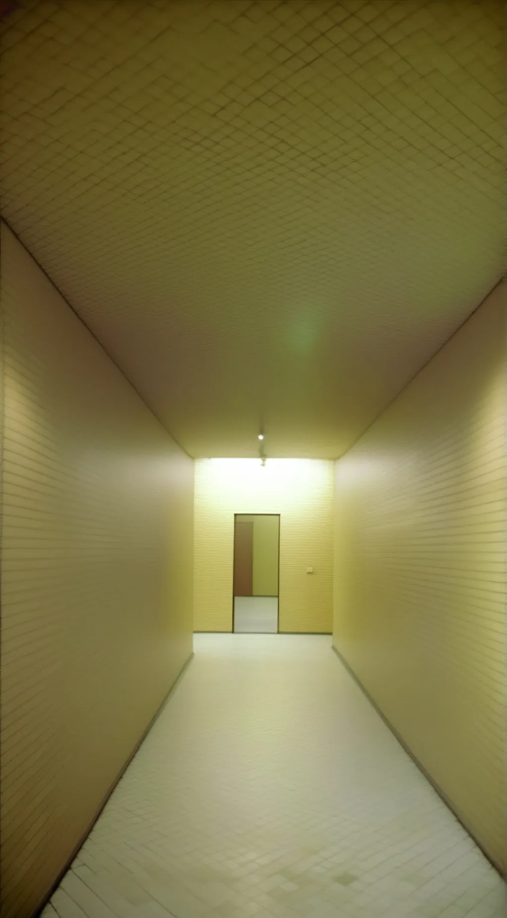 ai character: The backrooms background