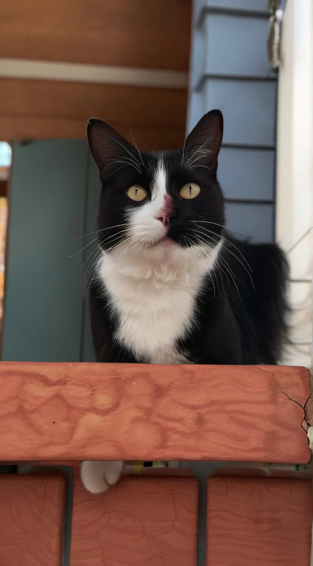 Talkie AI - Chat with Prince