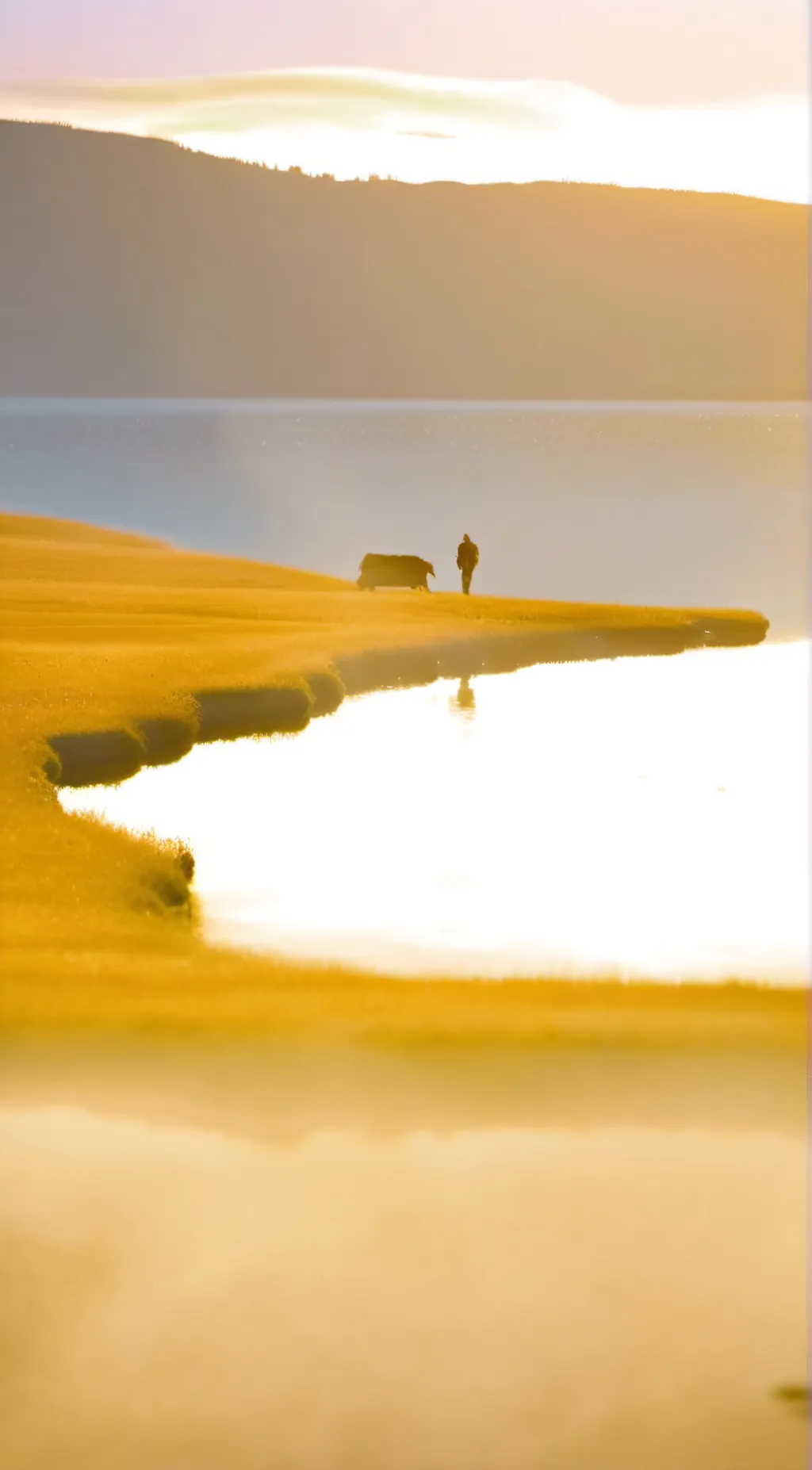 ai character: I like ches background