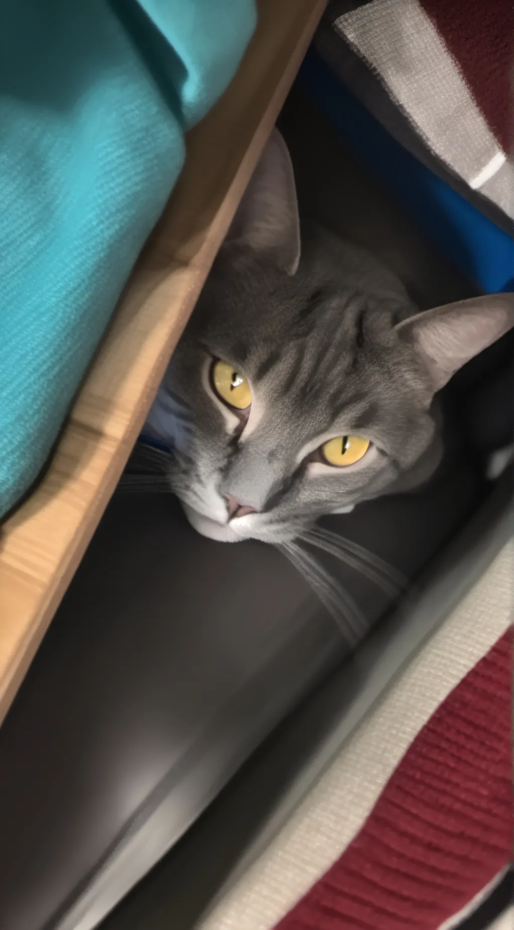 ai character: Nevel background