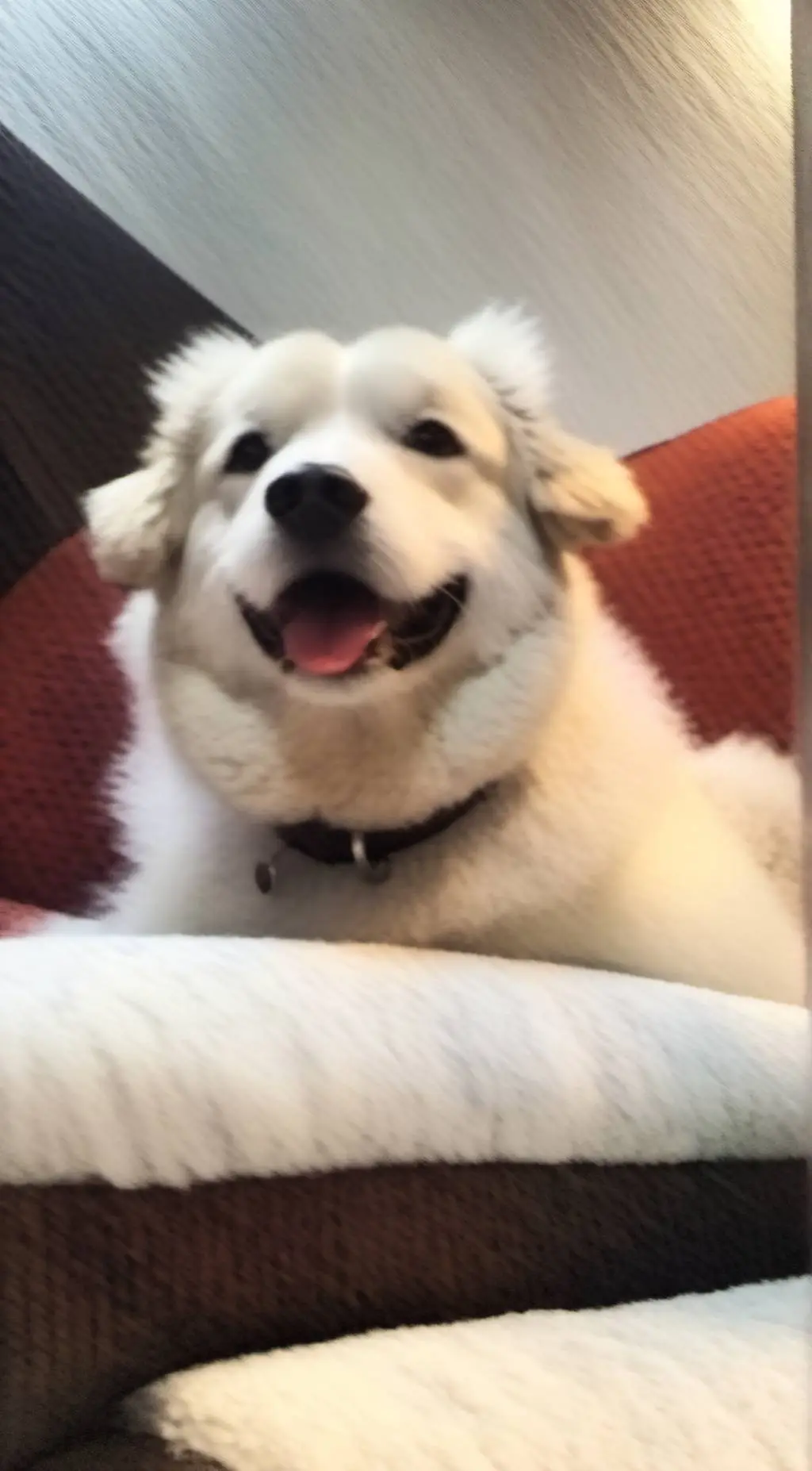 ai character: William background