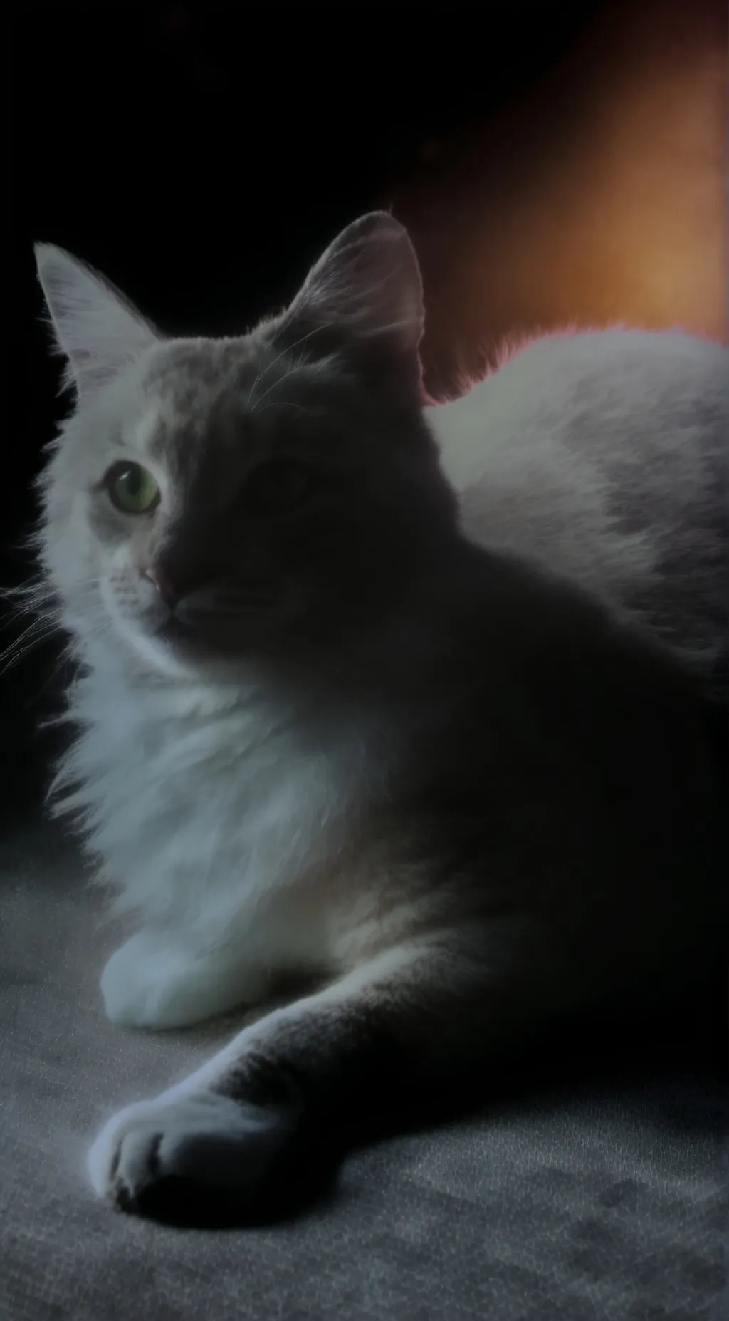 ai character: Maou background