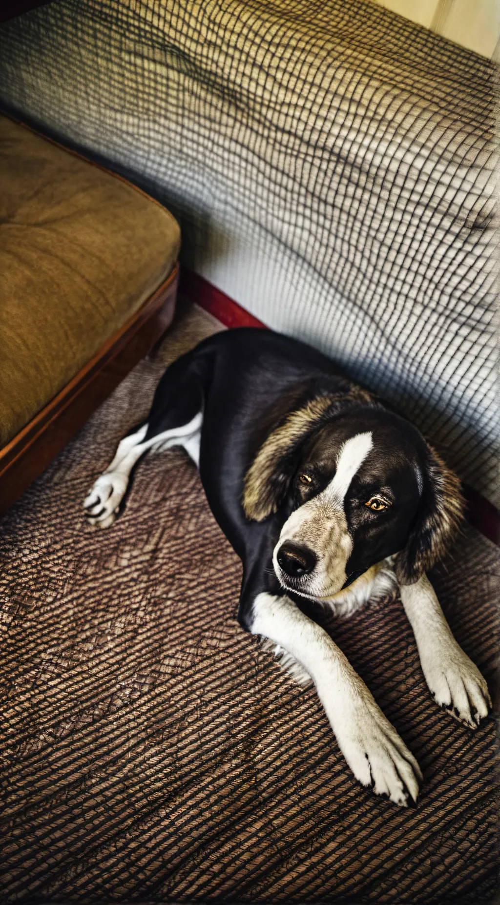 ai character: sleepy background