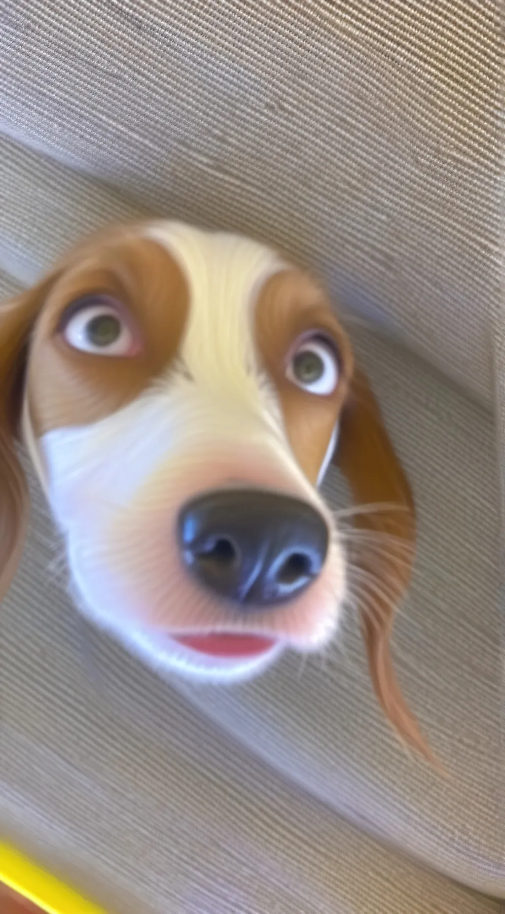 Talkie AI - Chat with down bad dogg