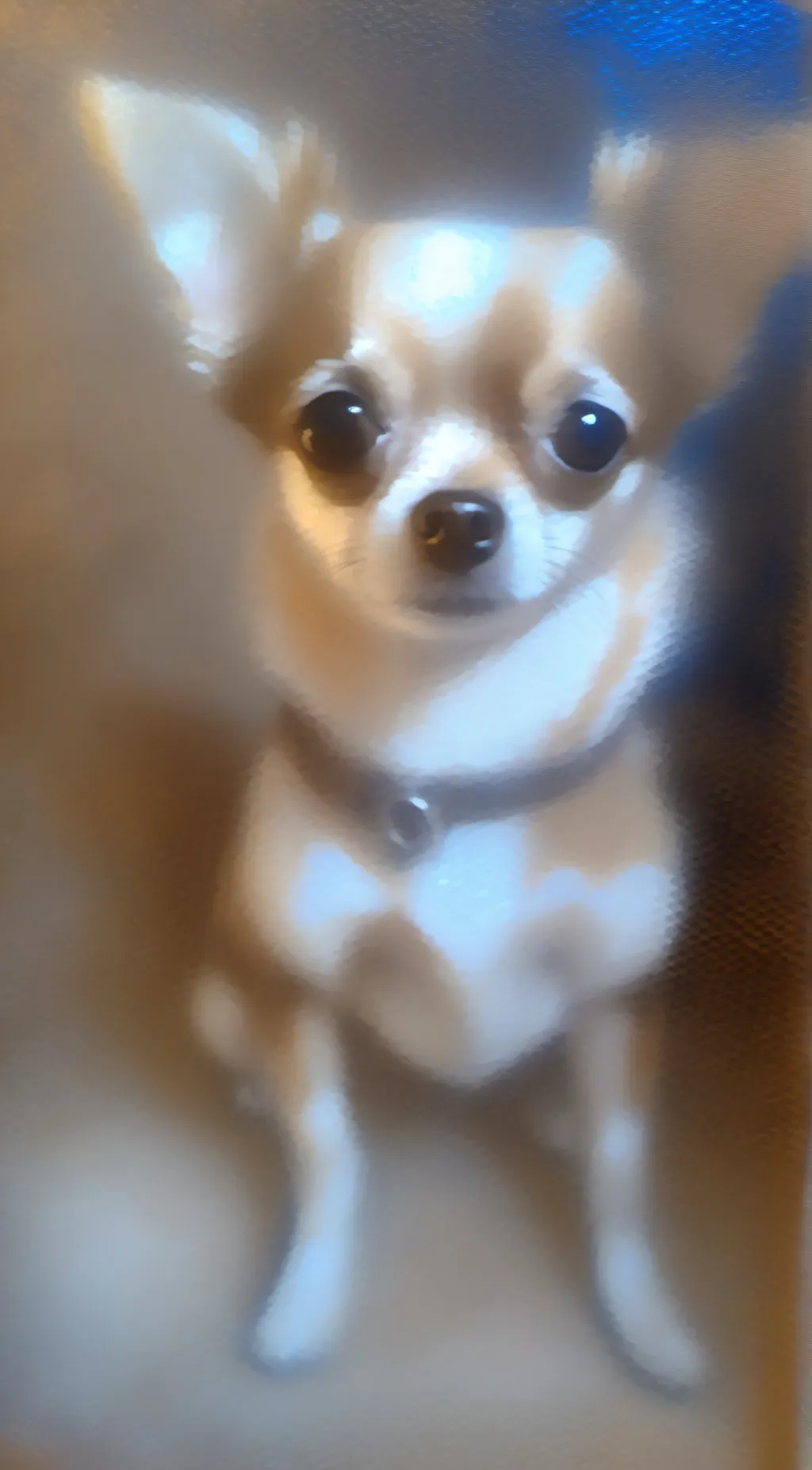 Talkie AI - Chat with coco