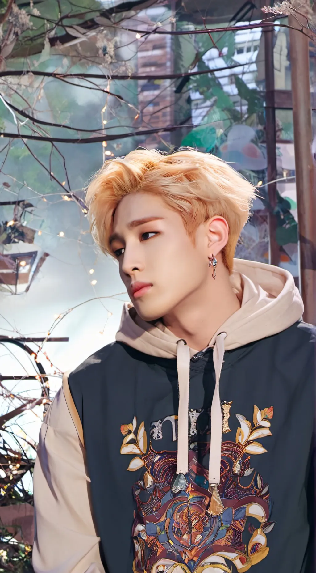 ai character: Bangchan (Chris) background