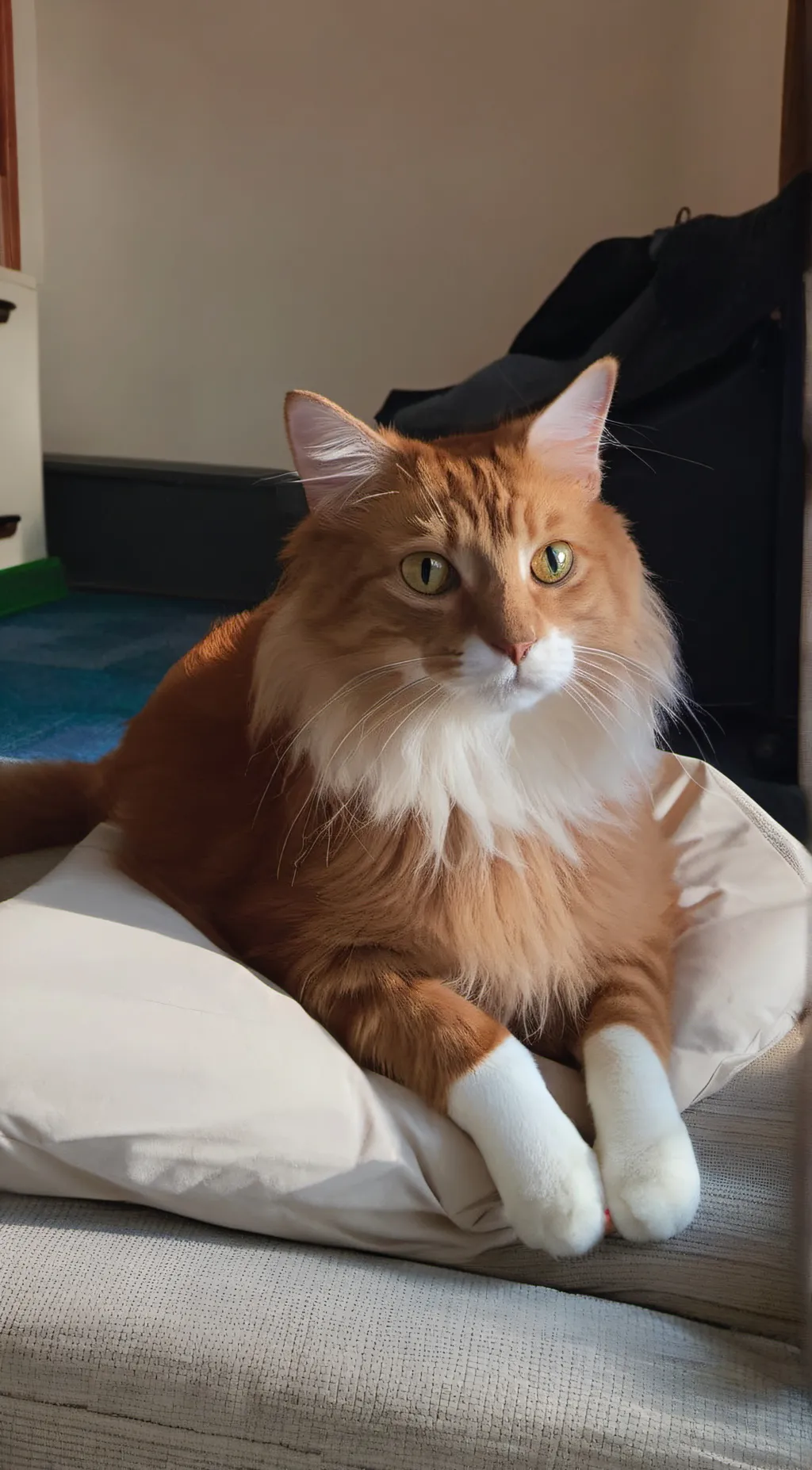 ai character: Frankie background