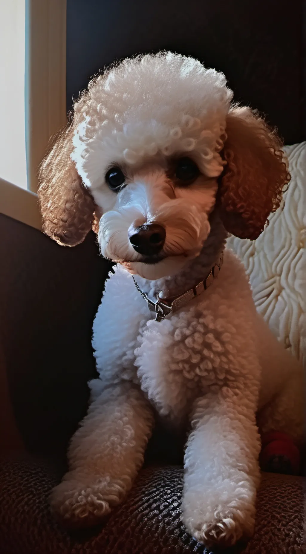 Talkie AI - Chat with Eclipse.