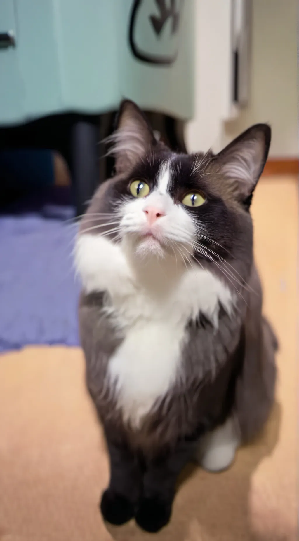 ai character: mooffin background