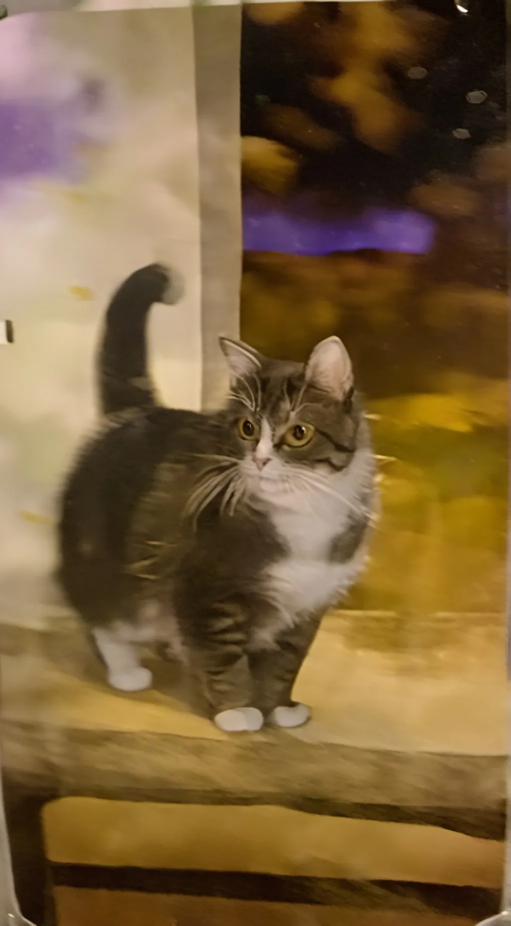 ai character: Lambert  background