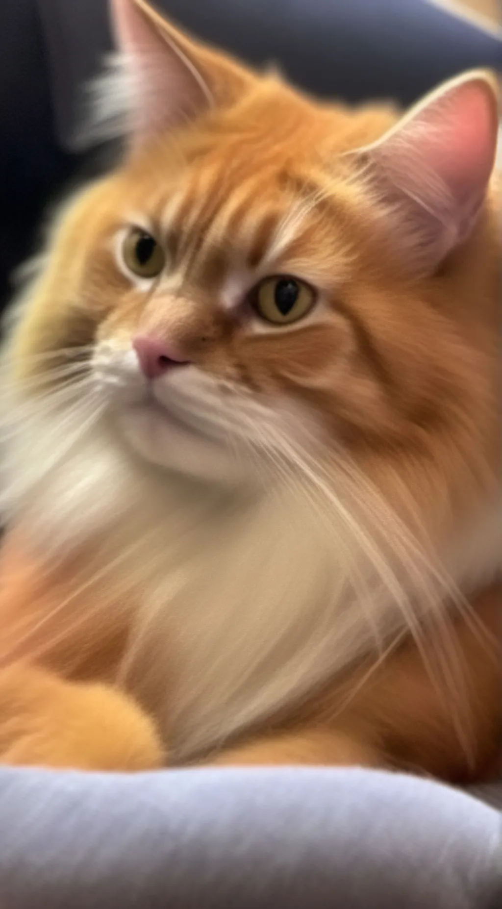 ai character: Leo background