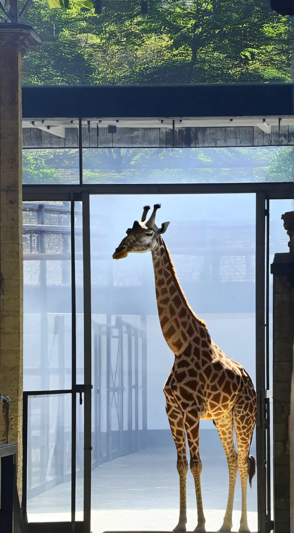 ai character: Leaf the giraffe  background