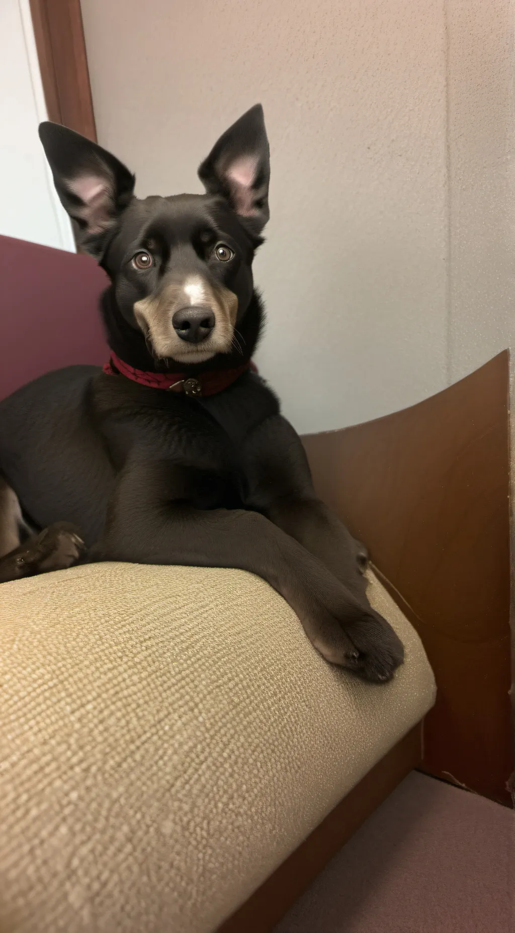 Talkie AI - Chat with Stormy