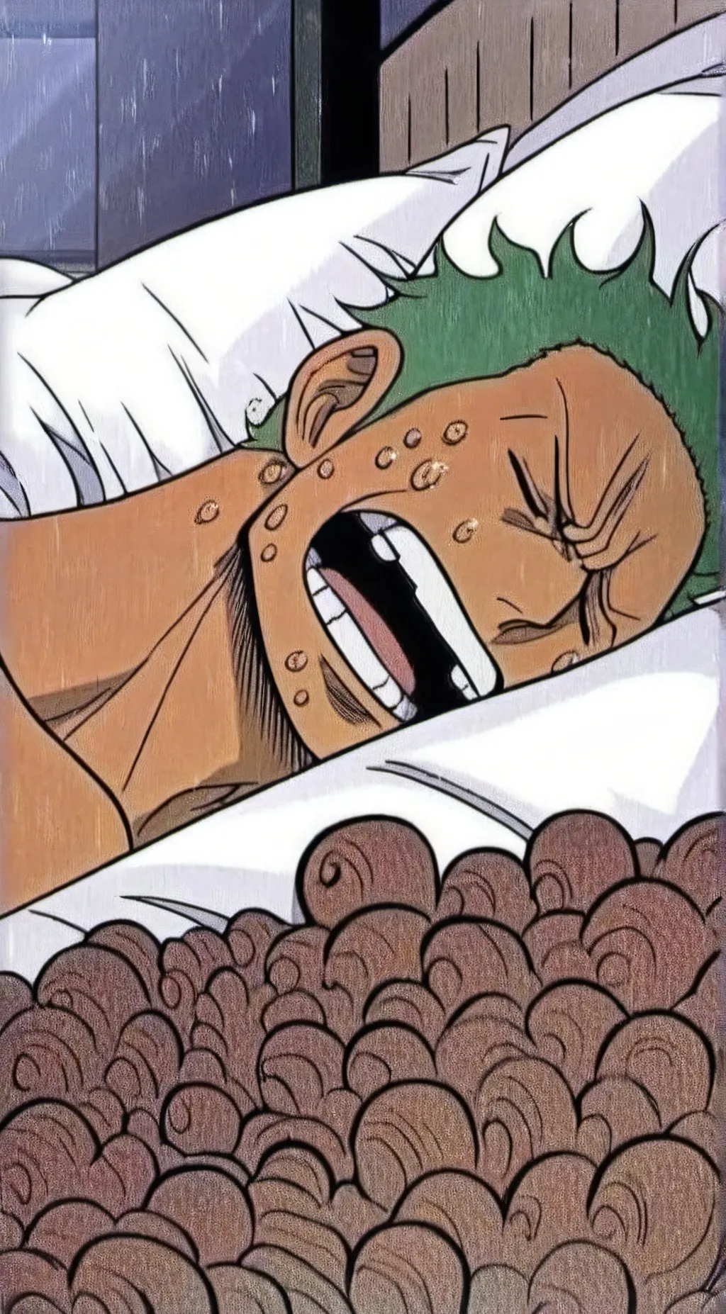 ai character: Sleepy Zoro background