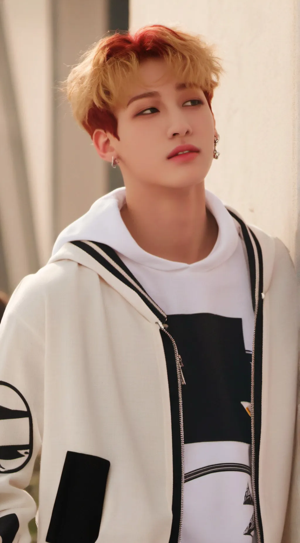 ai character: Bangchan (Chris) background