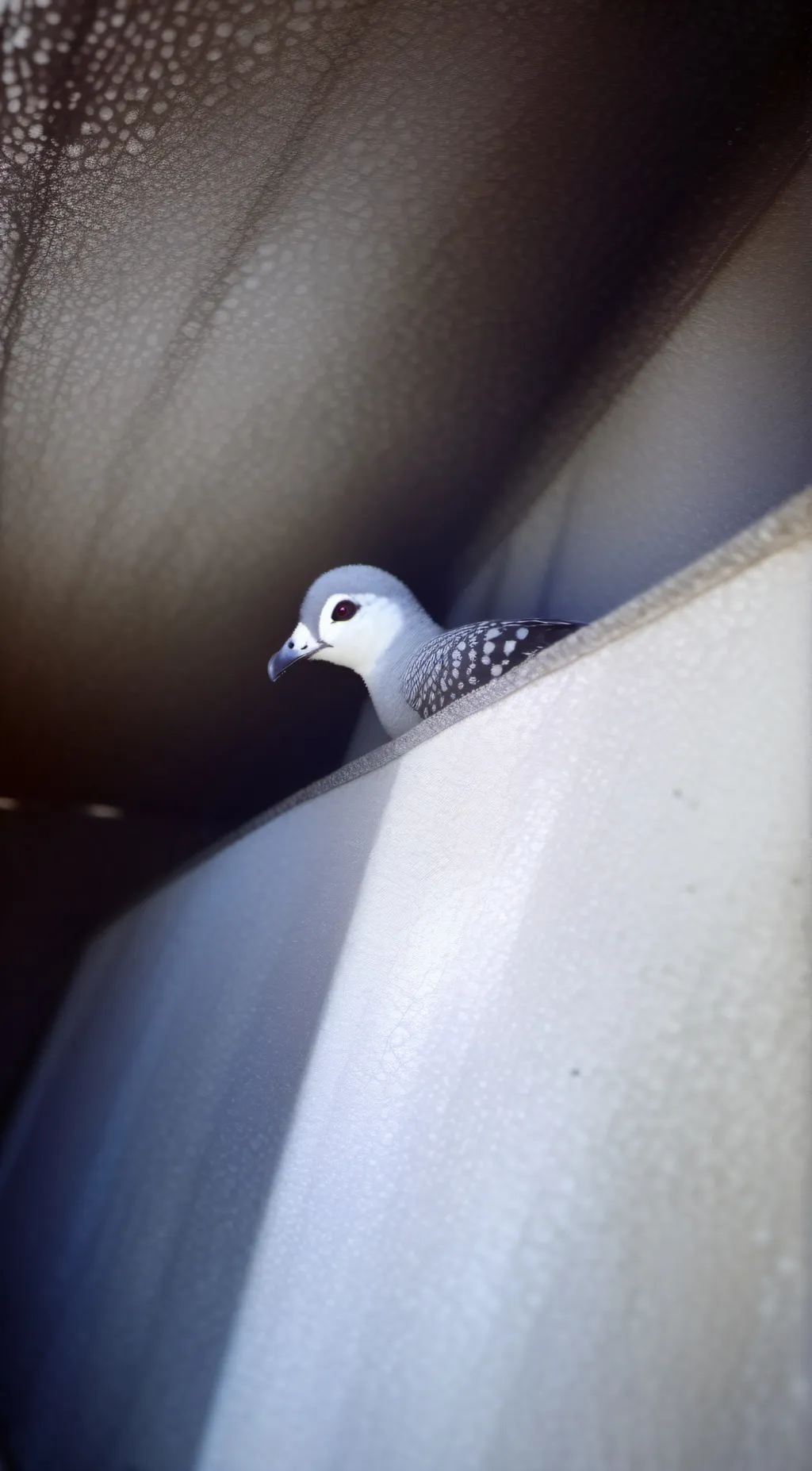 Talkie AI - Chat with Birdie