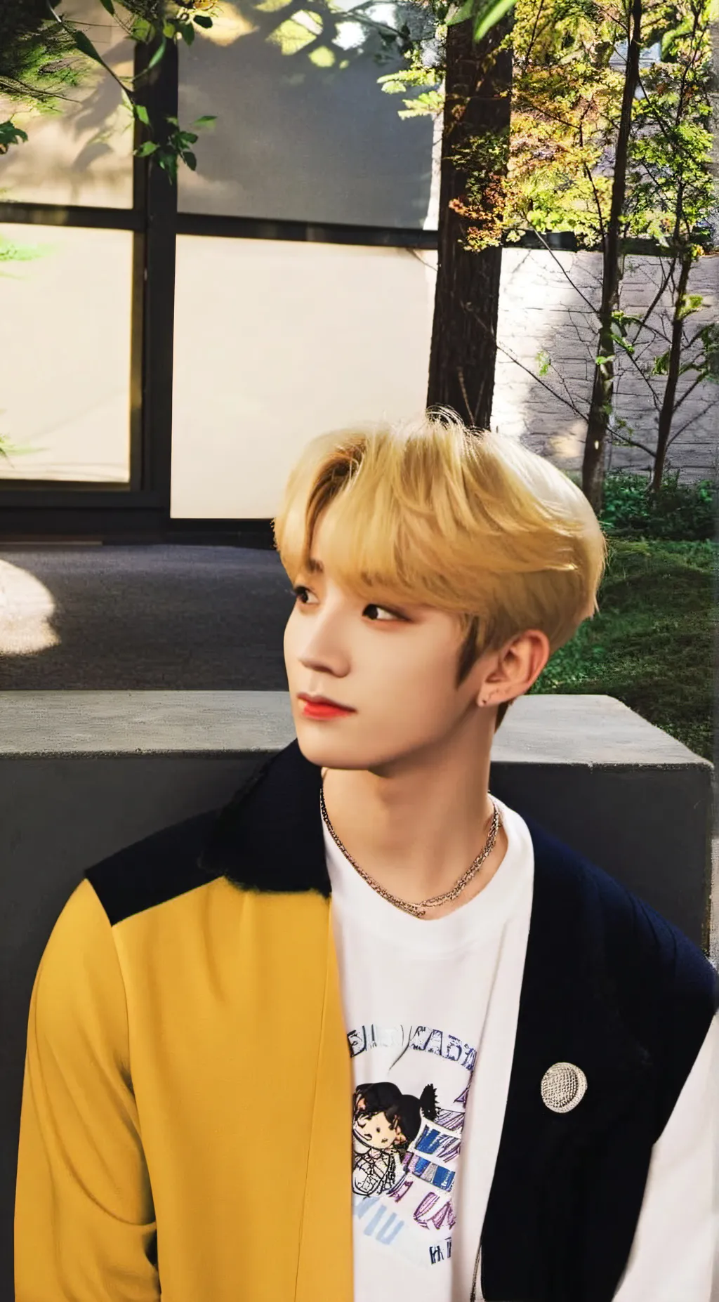 ai character: han background