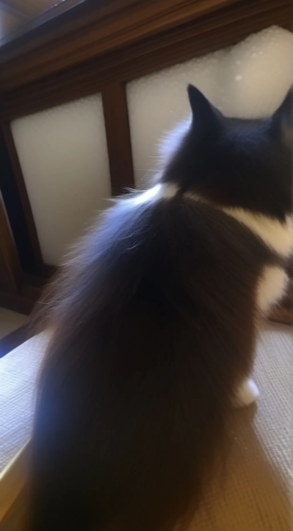 ai character: senjuro x shinjuro background