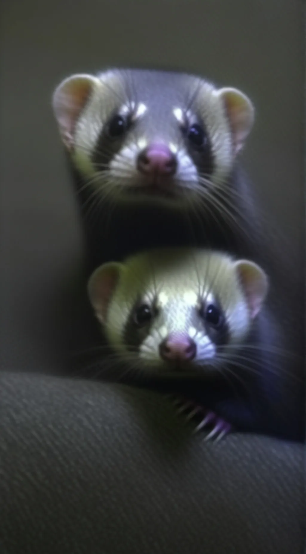 ai character: Trixie and Nathan background