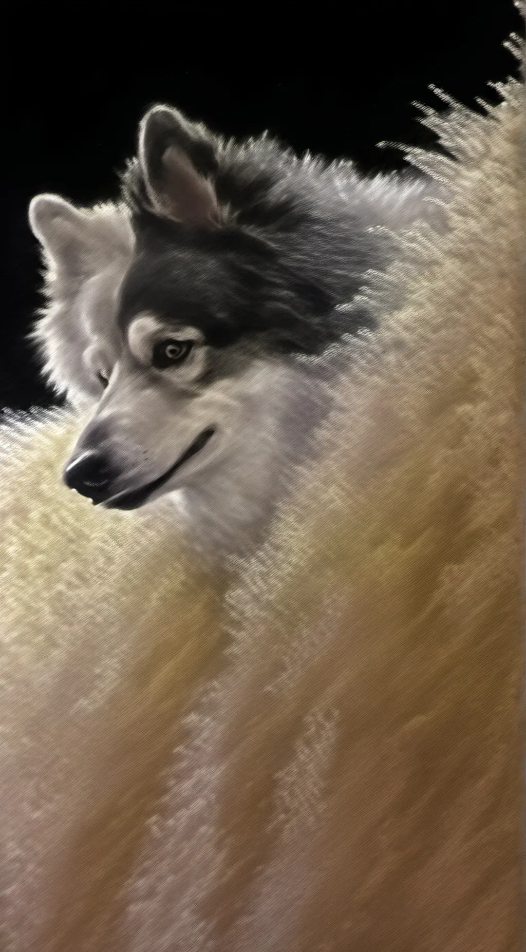 ai character: Sindy background