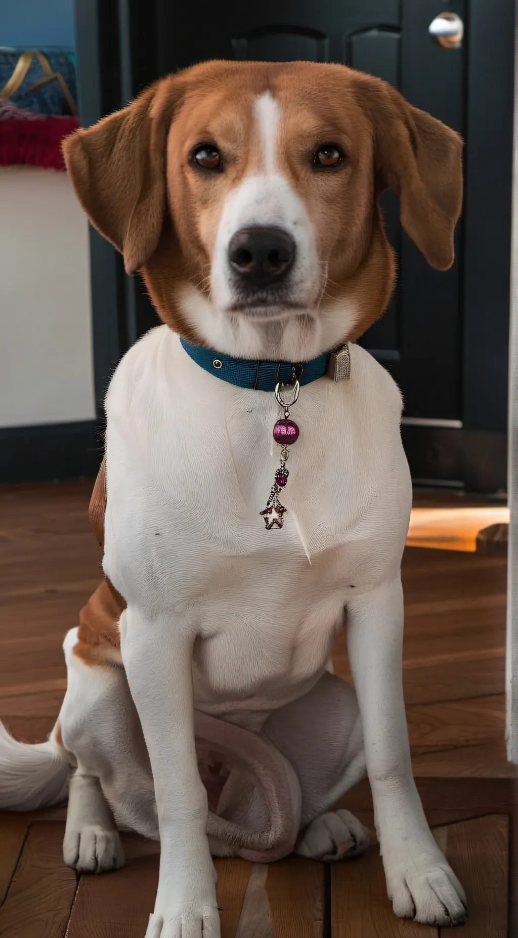 Talkie AI - Chat with Dexter